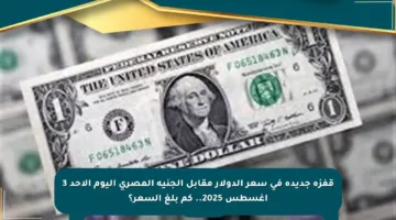 قفزة جديدة في سعر الدولار مقابل الجنيه المصري اليوم الأحد 3 أغسطس 2025.. كم بلغ السعر؟